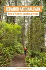 The Closest Airport to Redwood National Park (It's Complicated!)