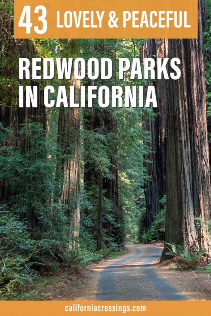 All 43 CA Redwood Parks. Avenue of the Giants and redwood trees