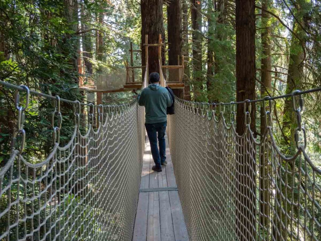 California Redwoods- Trees of mystery canopy walk