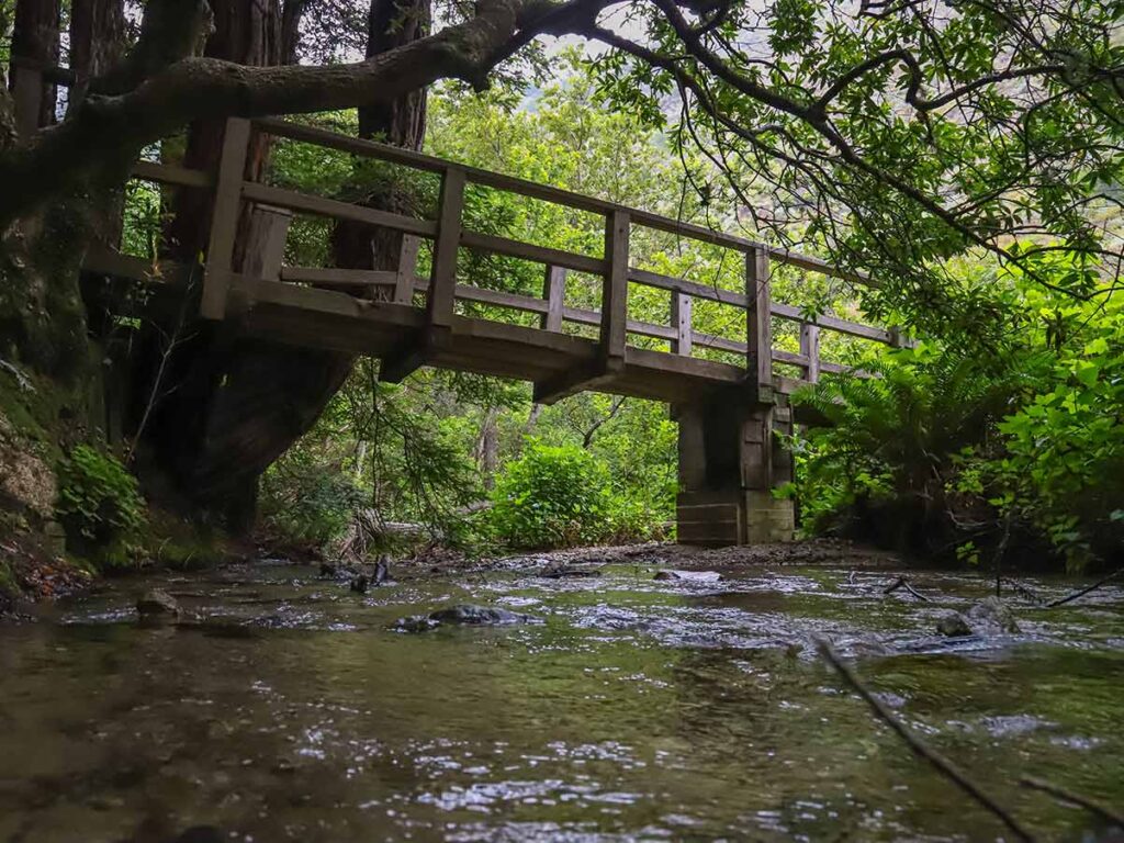 Partinggon Trail Julia Burns Pfeiffer State Park. bridge and woods