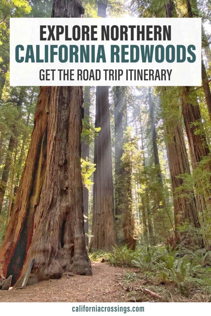 San Francisco to the Redwoods road trip itinerary