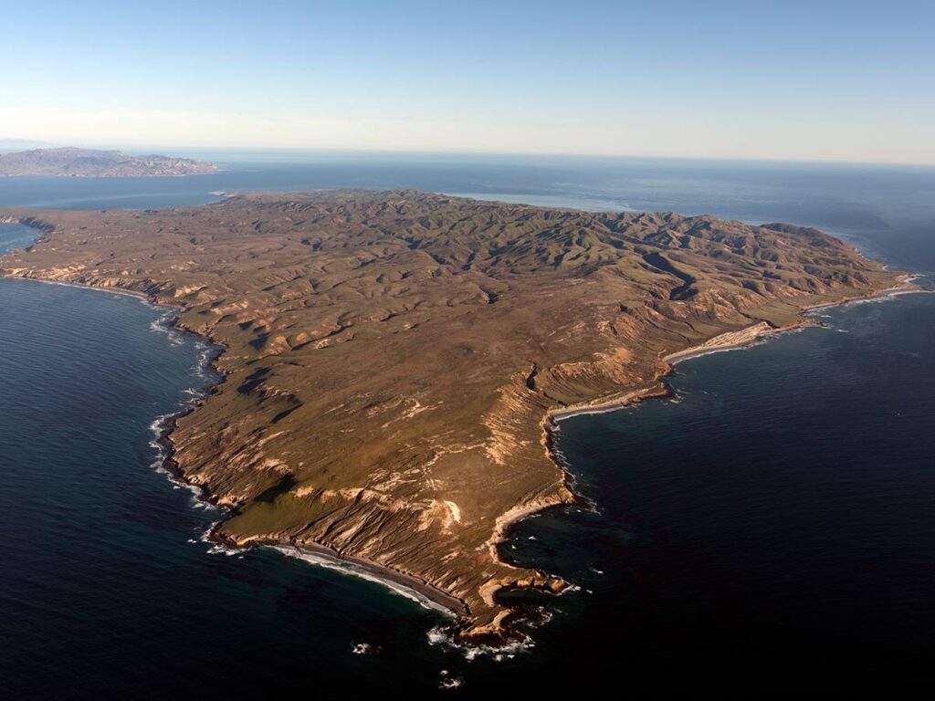 Santa Cruz Island in the Channel Islands
