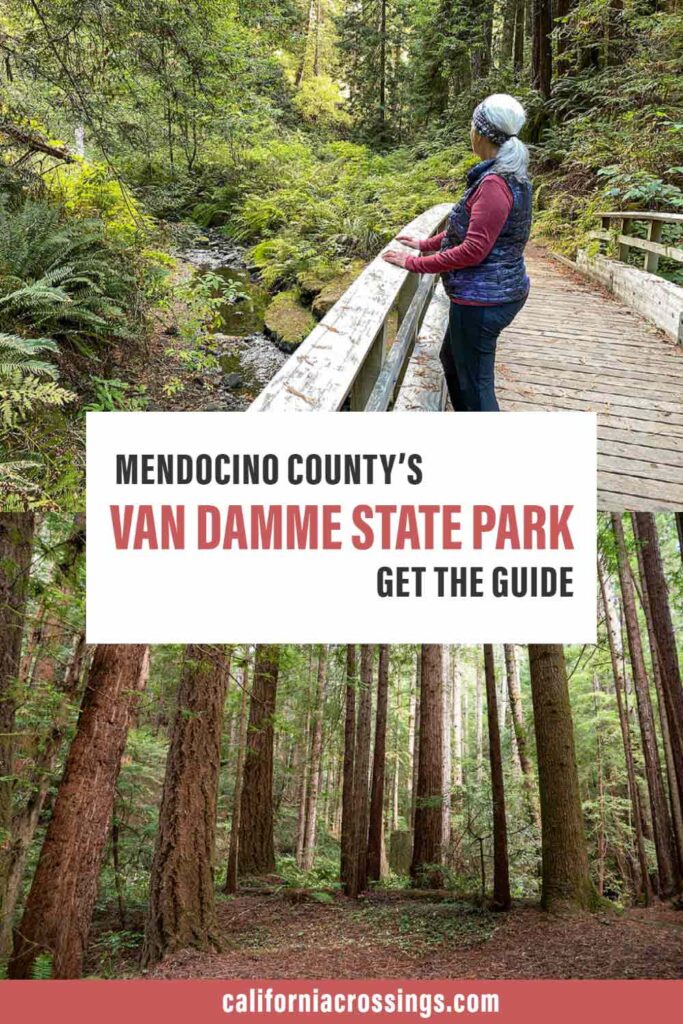 Mendocino County Van Damme State Park Get the Guide