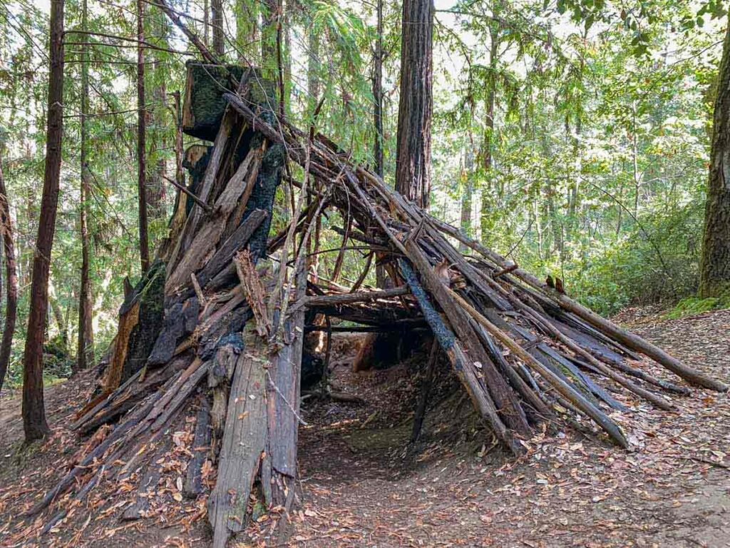 Hermit Hut in Hendy Woods. wooden lean-to