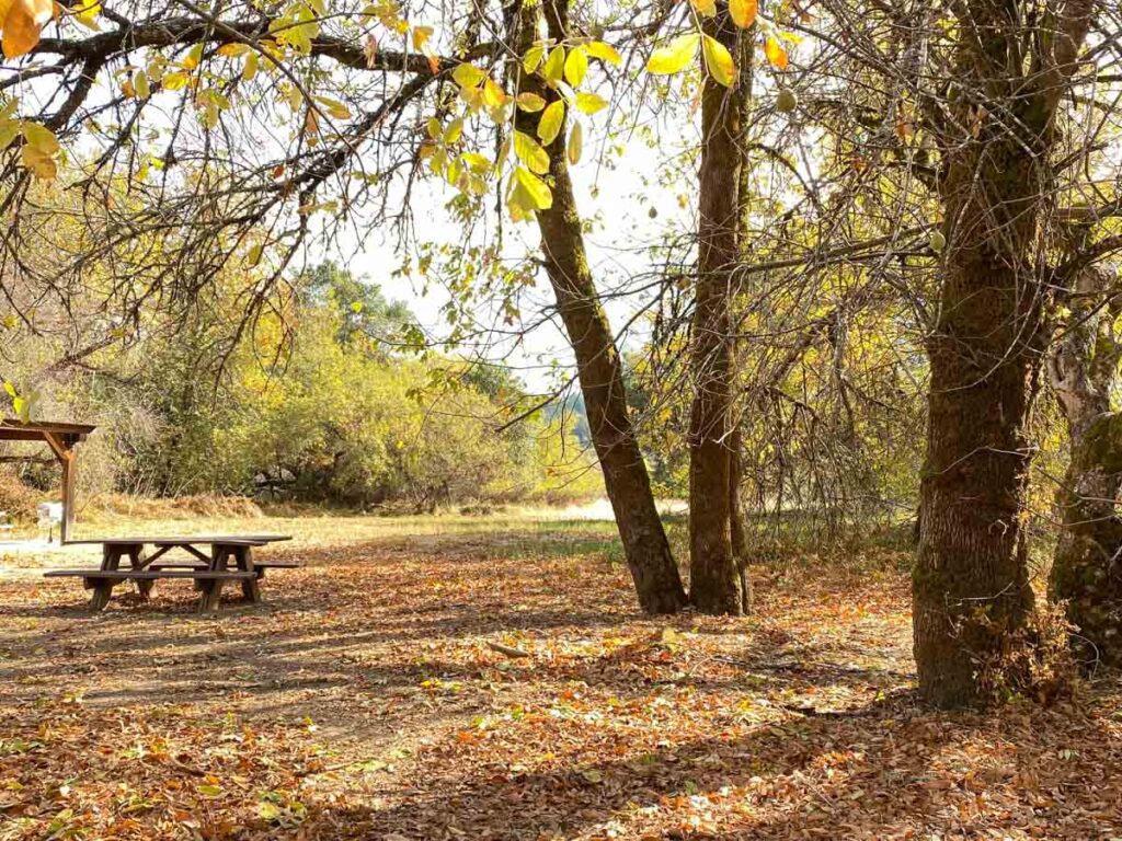 Hendy Woods meadow and picnic area. Fall leaves