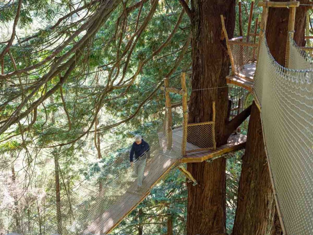 Trees of Mystery canopy trail