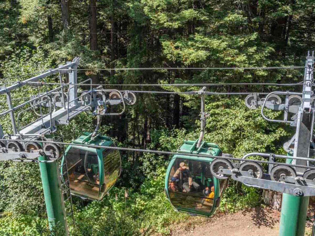 Trees of Mystery SkyTrain gondola