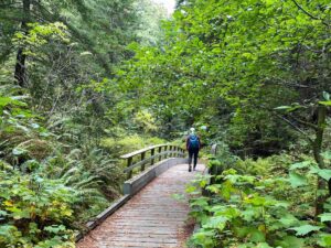 Van Damme State Park Fern Canyon hike. woman hiking on bridge