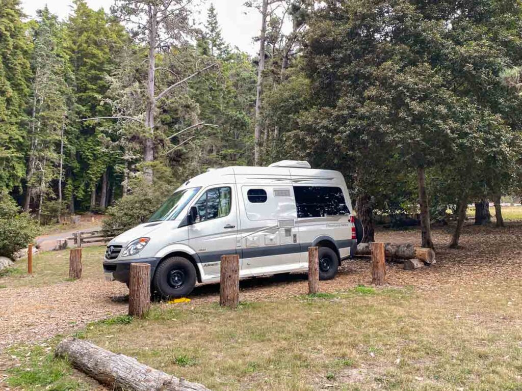 Van Damme State Park campground. Sprinter van in the trees on the upper campground