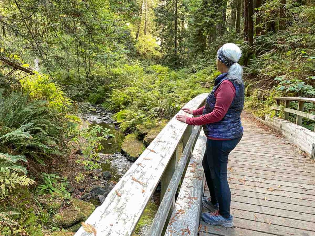 Van Damme state park fern canyon bridge. with female hiker