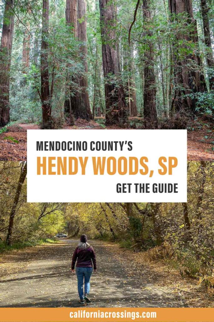 Mendocino County Hendy Woods State Park. get the guide