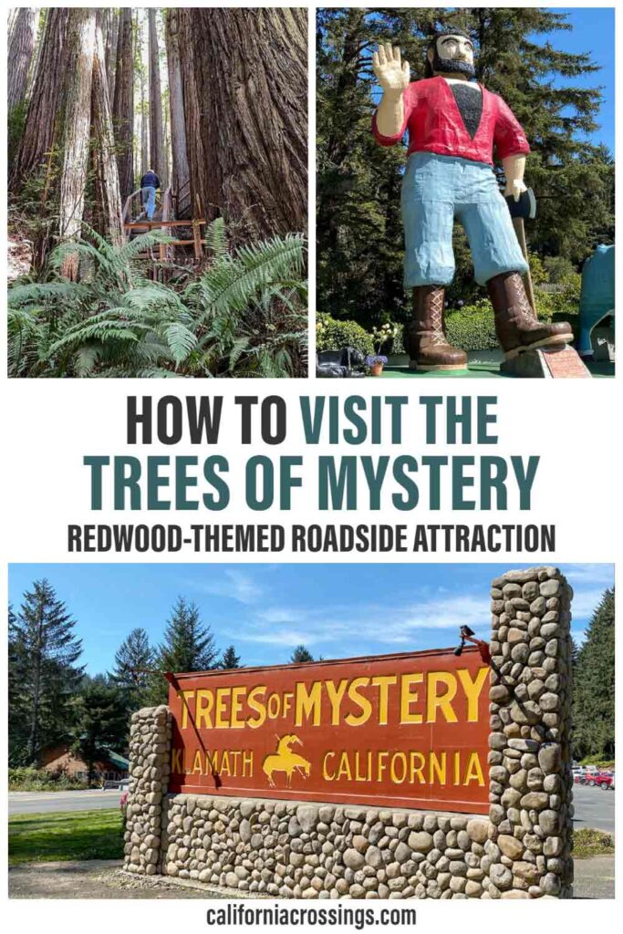 How to Visit the Trees of Mystery