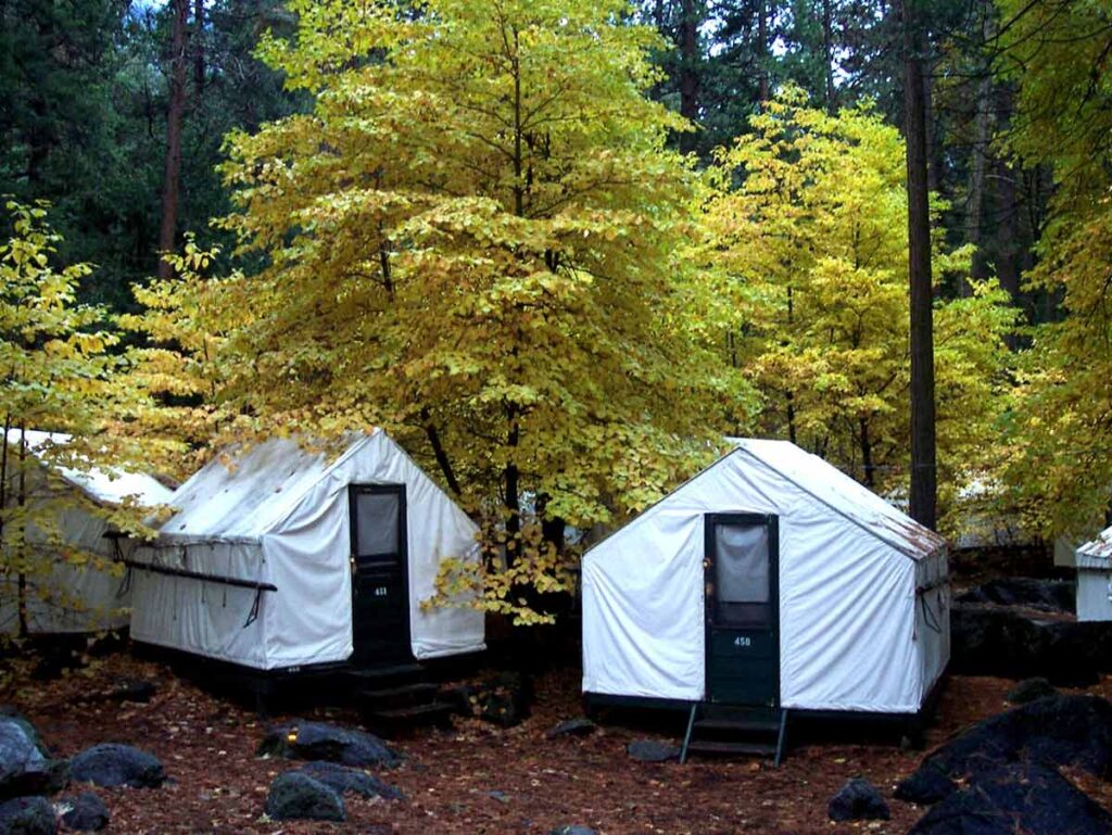 Yosemite National Park Curry Village Fall- trees and tents