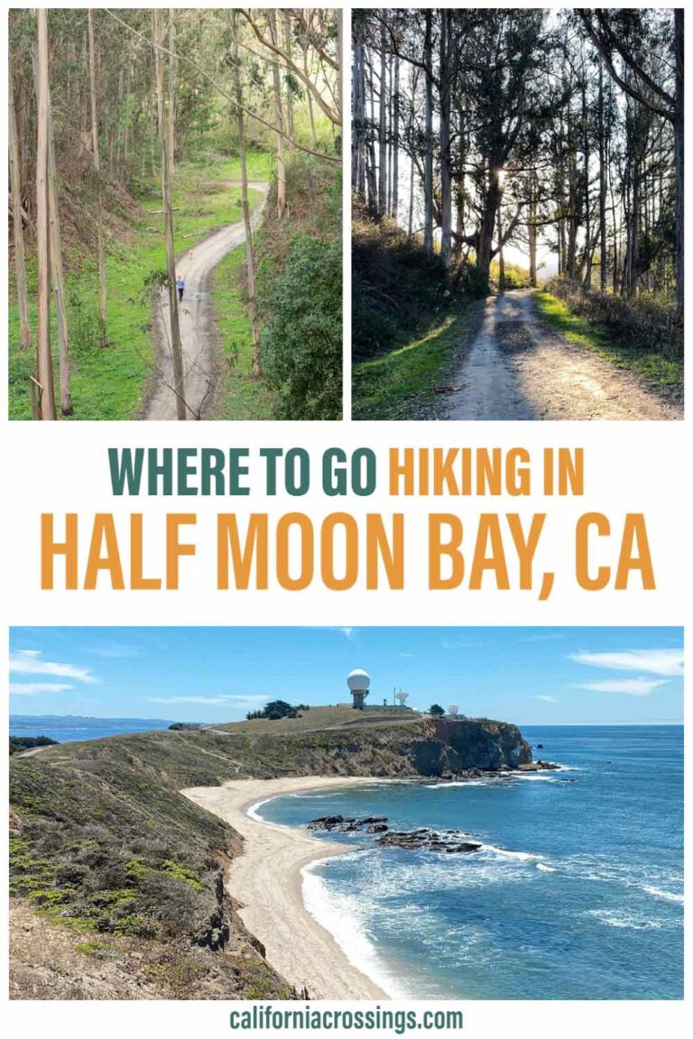 Find the Best Hiking in Half Moon Bay 11 Trails for all Levels