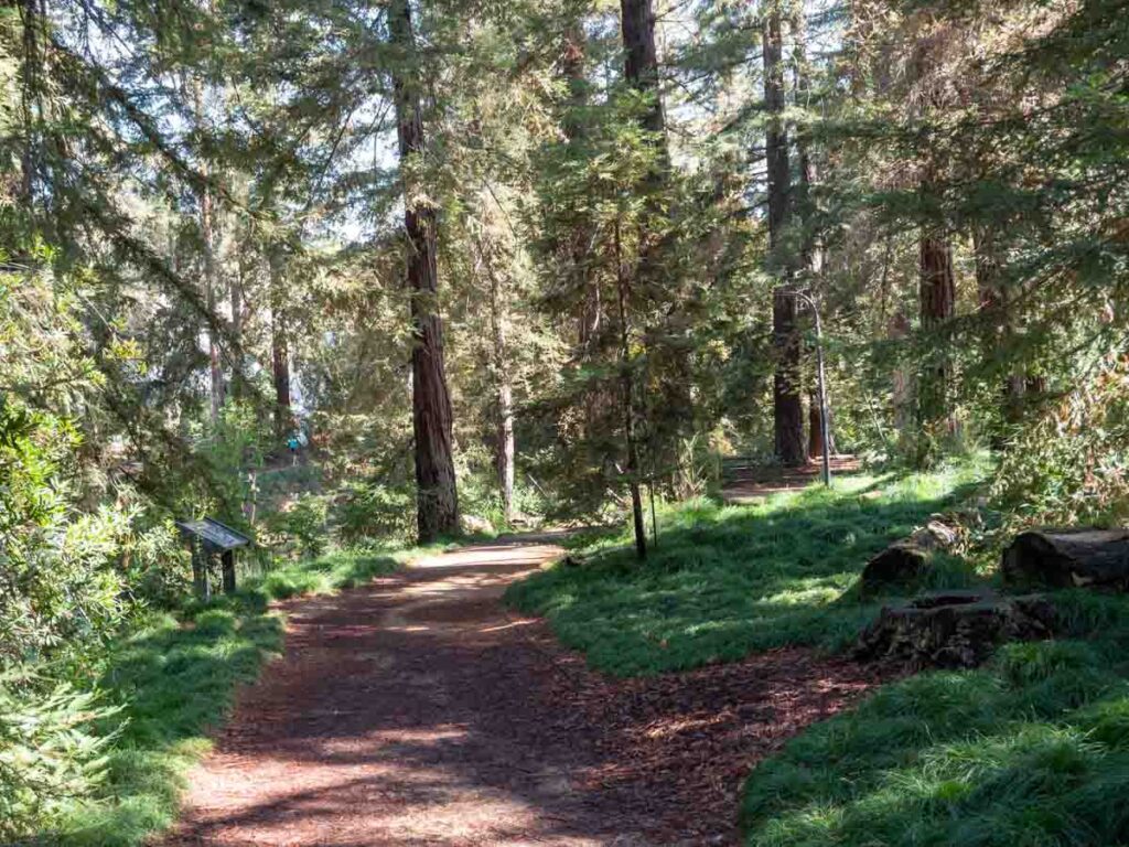 Davis Botanical garden pathway in trees