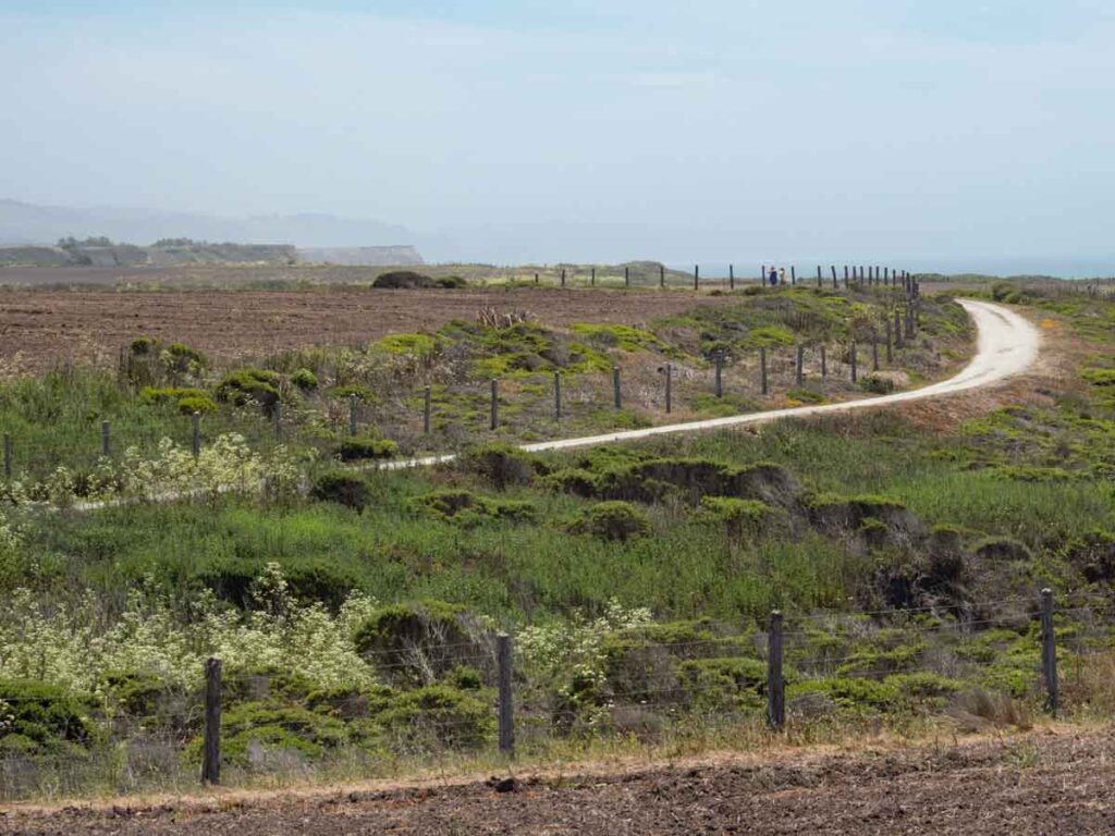 Coastal trail at Cowell Purisima. blufftop trail and fencing