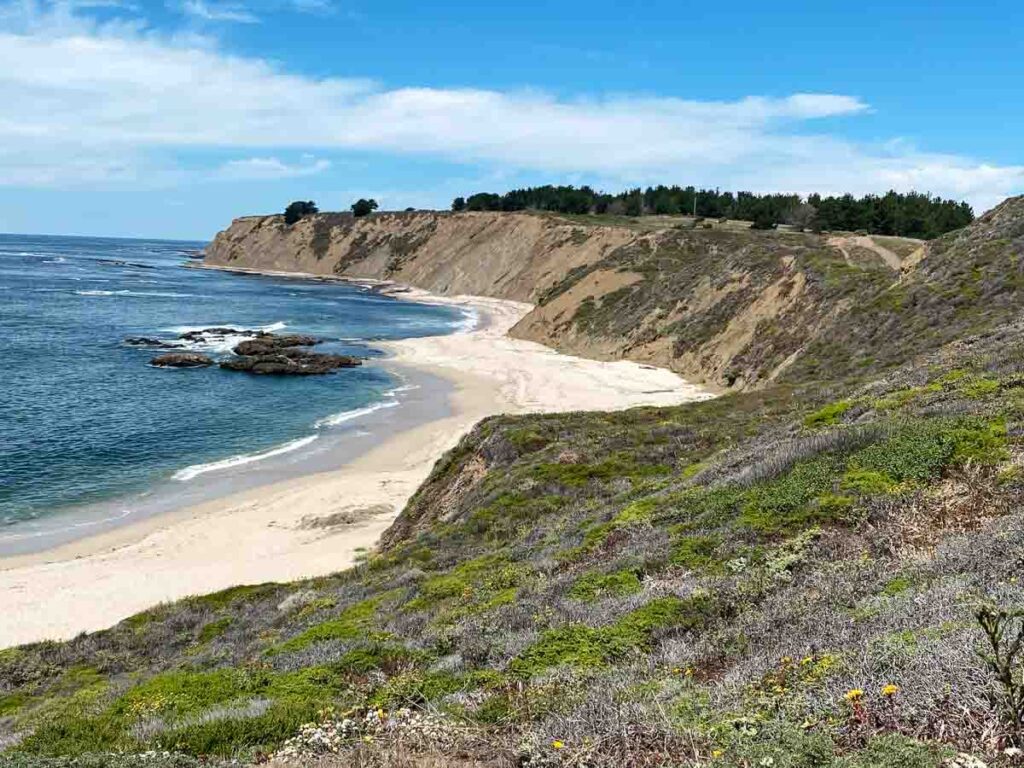 Half Moon Bay Hiking Trails: Pillar Point trail  beach and bluff