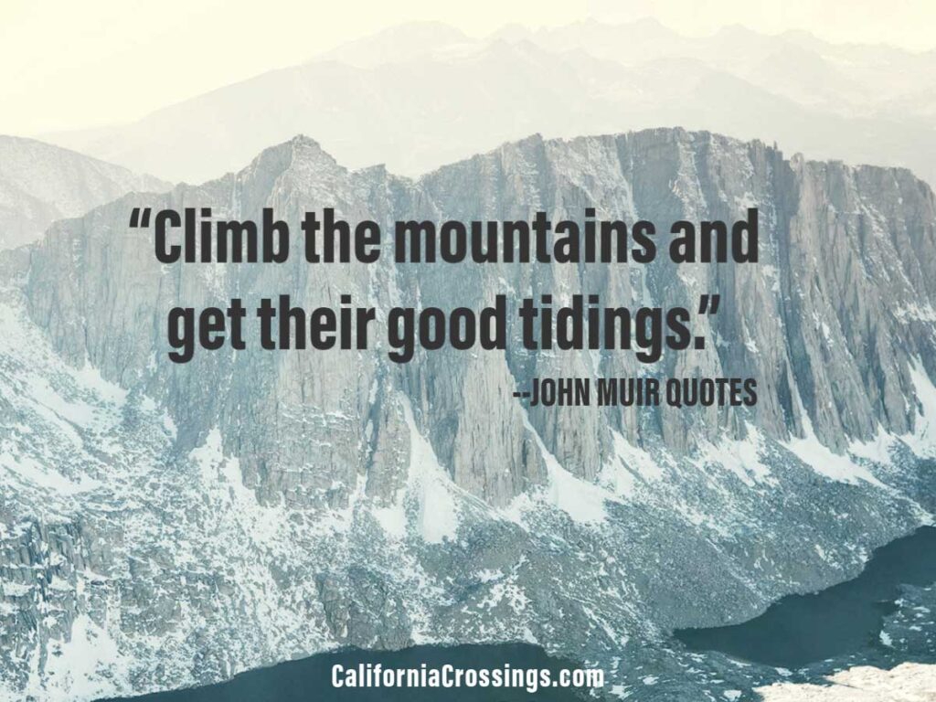 John Muir Quotes- Climb the mountains and get their great tidings