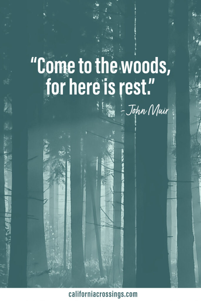 Quote by John Muir: Come to the woods, for here is rest.