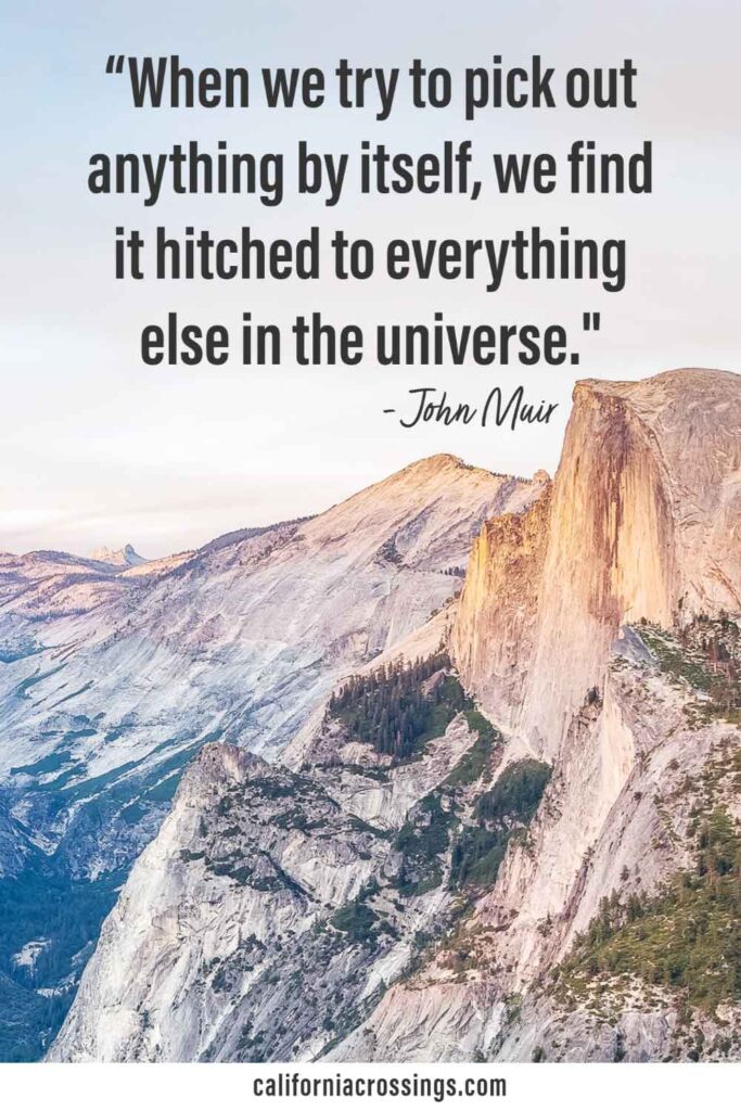 Muir nature quotes: When we try to pick out anything by itself, we find it hitched to everything else in the universe.