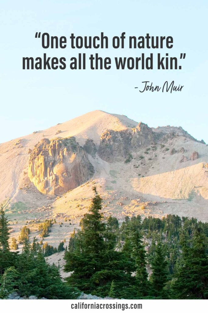 John Muir on nature: One touch of nature makes all the world kin.