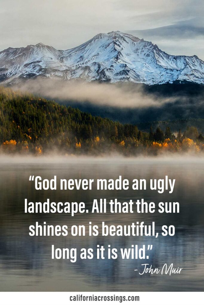 John Muir quote on nature: God never made an ugly landscape. All that the sun shines on is beautiful, so long as it is wild.