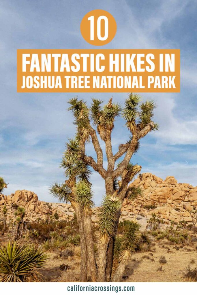 10 Fantastic Hikes in Joshua Tree