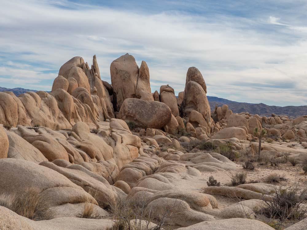 Hikes Joshua Tree- rock landscape skull rock