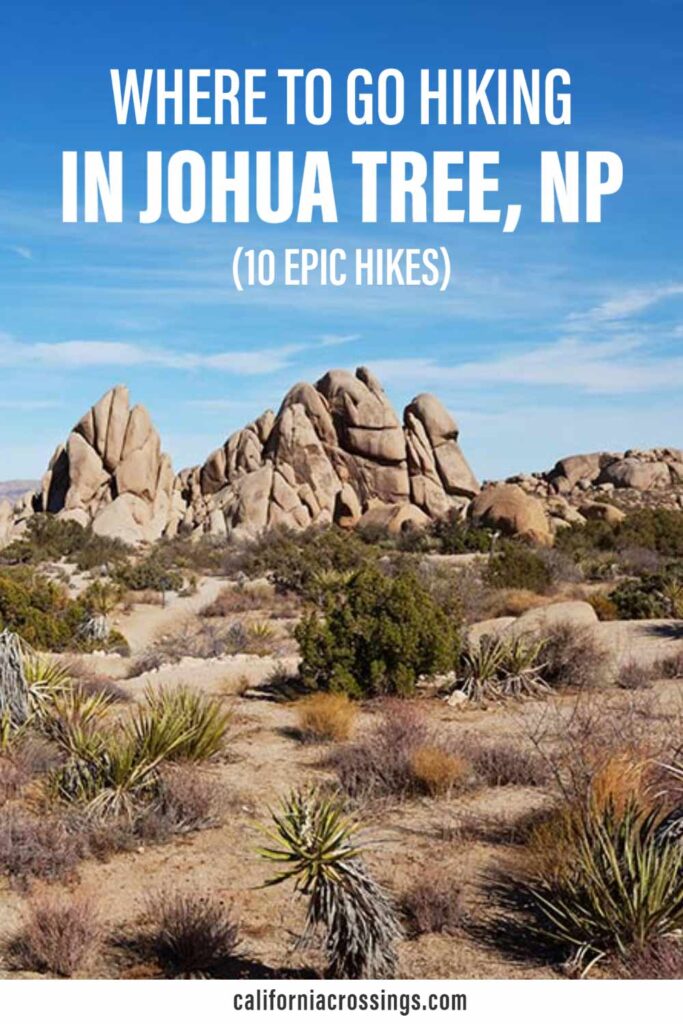 Where Go Hiking in Joshua Tree