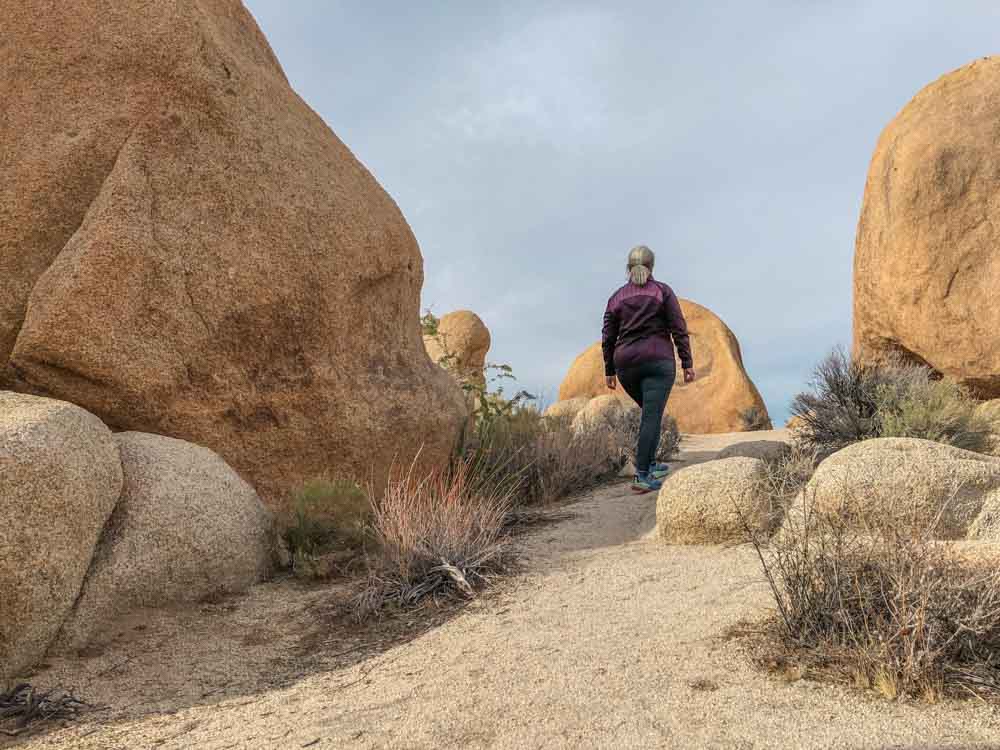 joshua tree west entrance trails