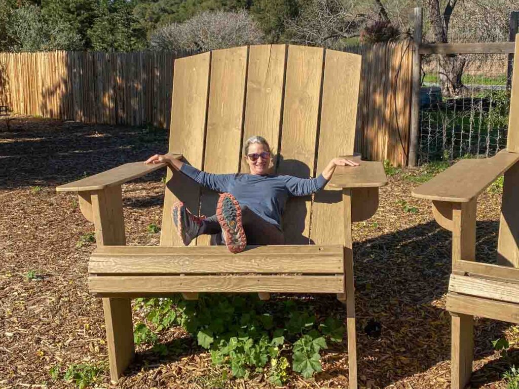 Earthbound Farms Adirondack chair