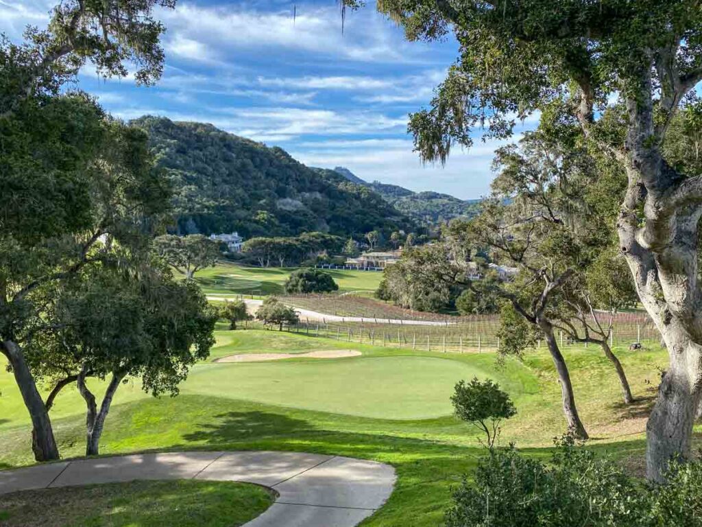 Carmel Valley CA view. vineyard and mountain