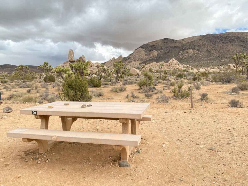 Ryan Ranch Campground Joshua Tree. picnic table and desert landscape