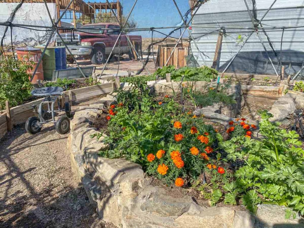 East Jesus vegetable and herb garden