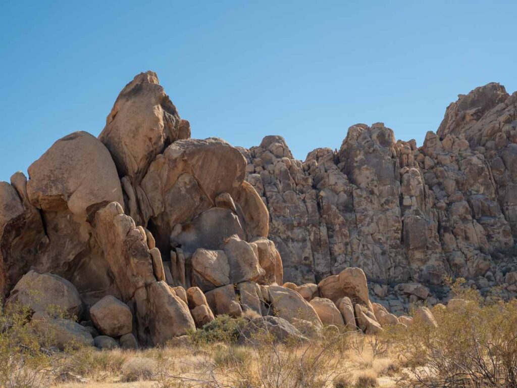 Boy Scout Trail Joshua Tree National Park visit