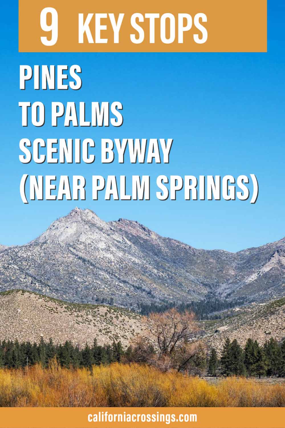 5 Reasons to Do the Palms to Pines Scenic Byway