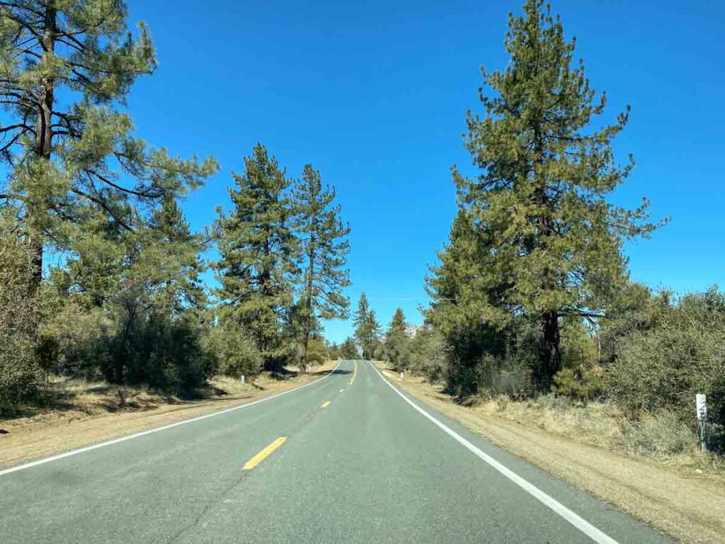 Highway 74 Palms to Pines . road and pine trees paradise valley