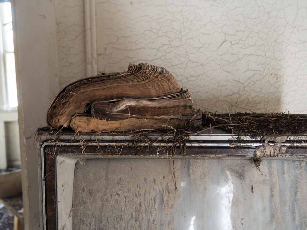 Abandoned room in Keeler California with television and yellow pages