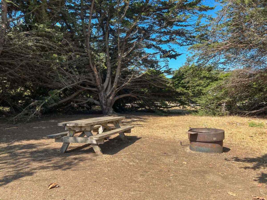 San Simeon State park campground, with picnic table.