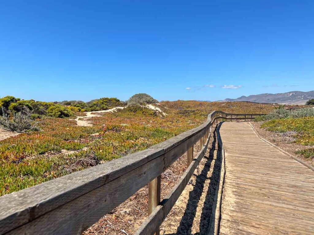 Pismo State Beach boardwalk with sand dunes