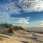 Pismo State Beach: Complete Camping & Activity Guide