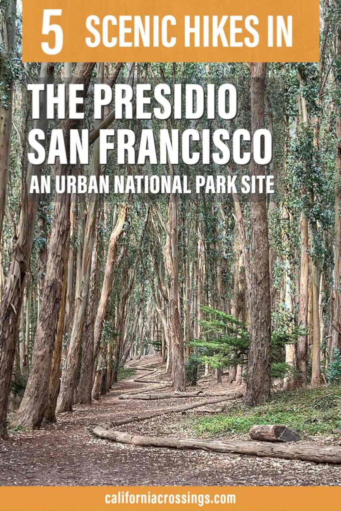 5 hikes in the Presidio San Francisco