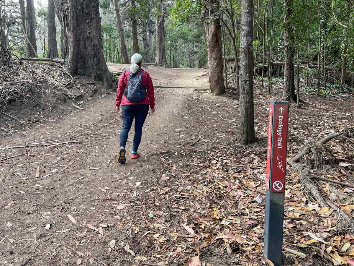 Where to Go Hiking in the Presidio: 5 Top Trails