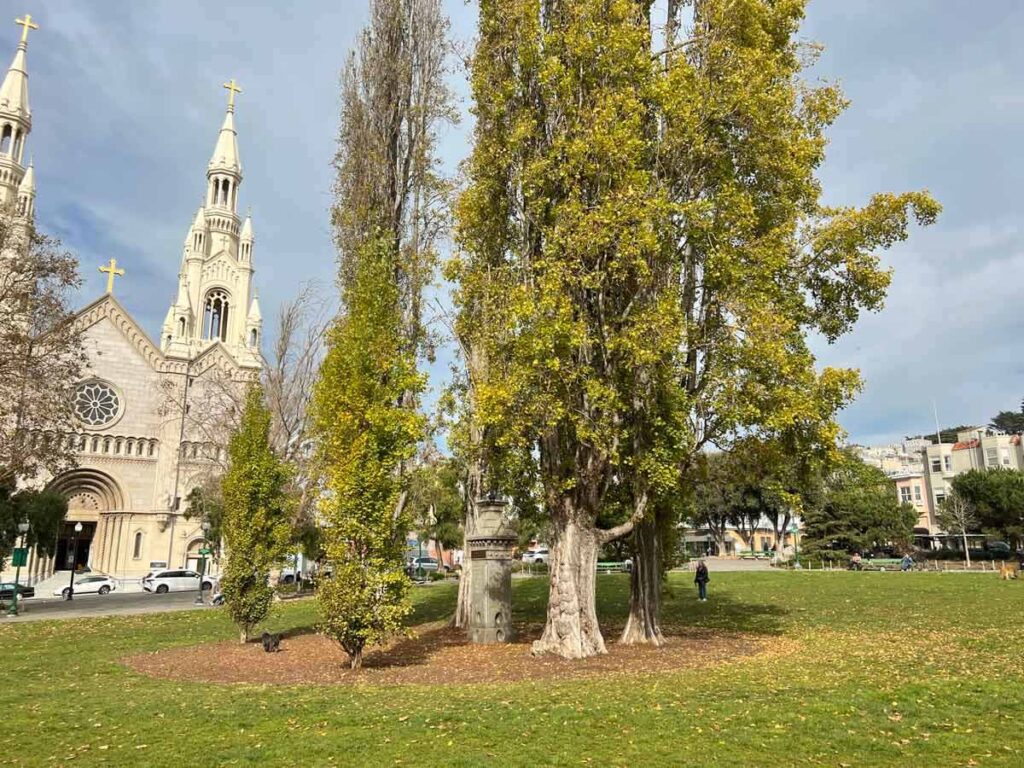 SF North Beach Washington Square Park, with trees and church.