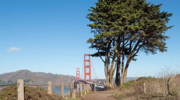 San Francisco Walks: Batteries to Bluffs trail, with bridge and tree.