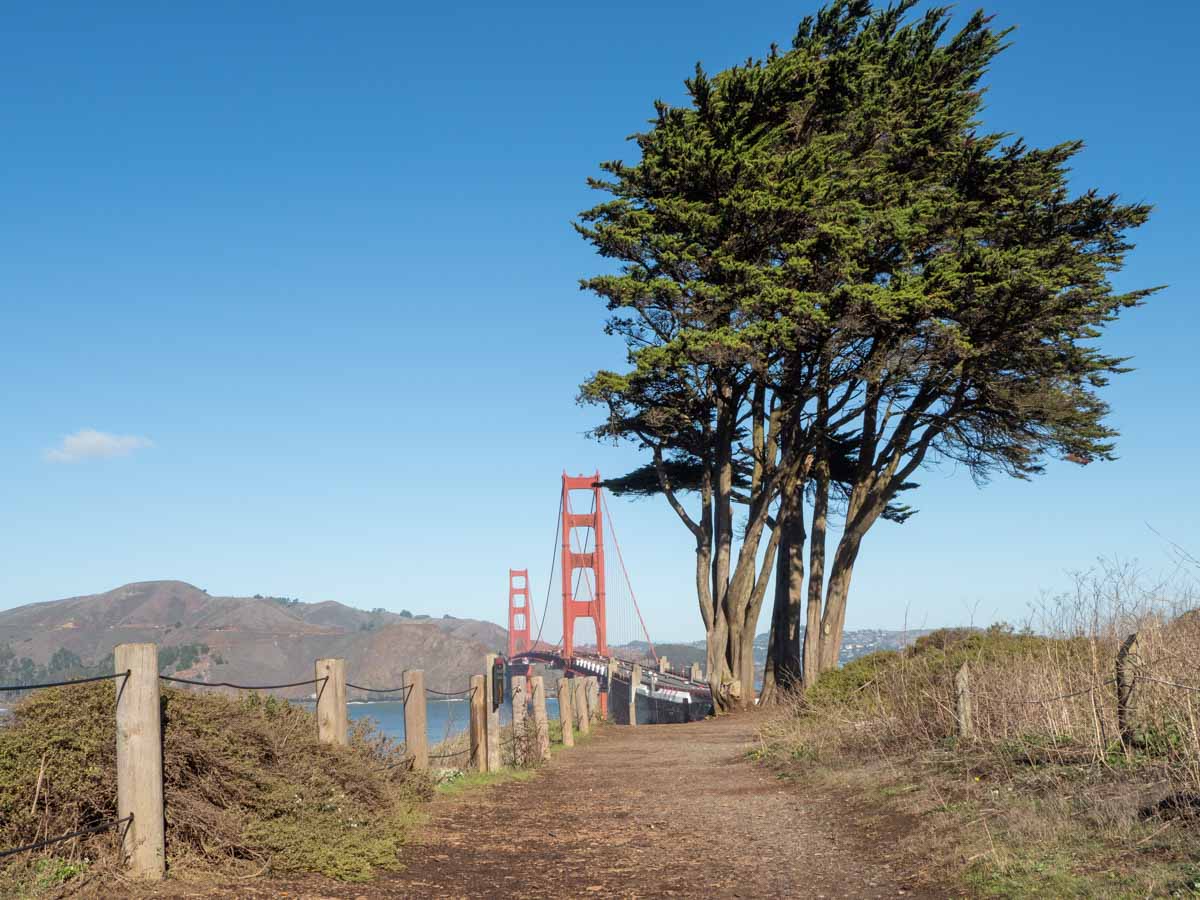 San Francisco Walks: Batteries to Bluffs trail, with bridge and tree.