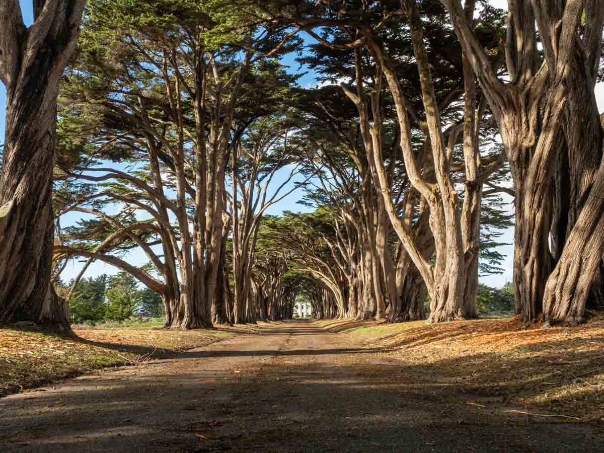 12 National Parks Near San Francisco (Under 3 Hours of Drive-time)