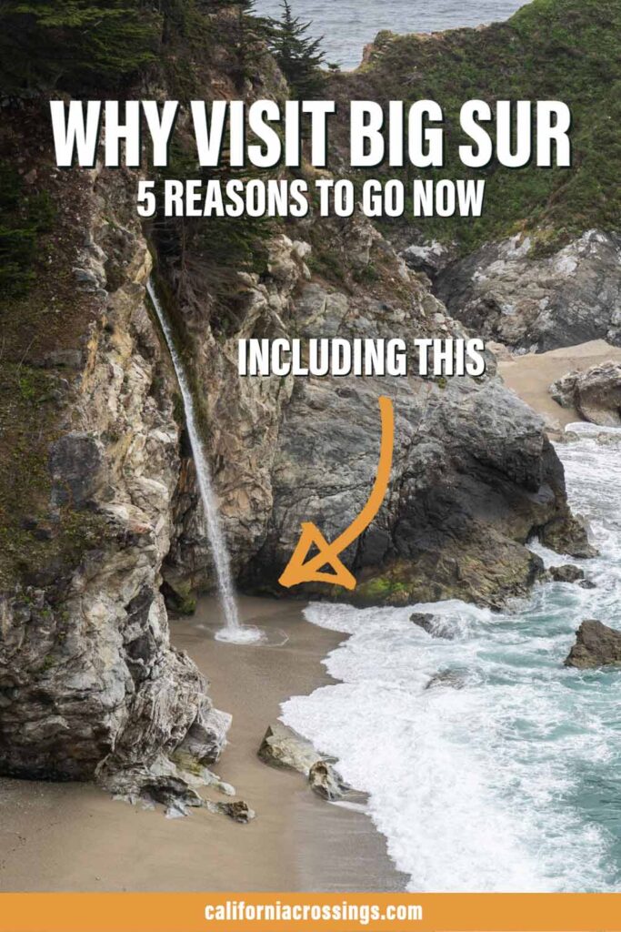 Why Visit Big Sur, 5 reasons to go now.