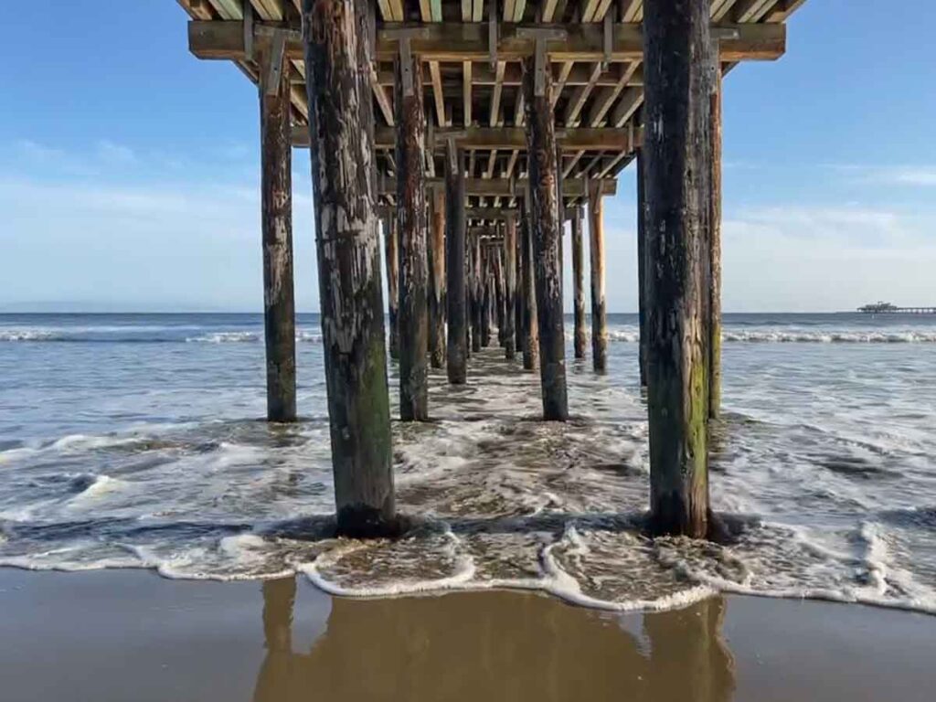 Avila Beach pier from underneath.