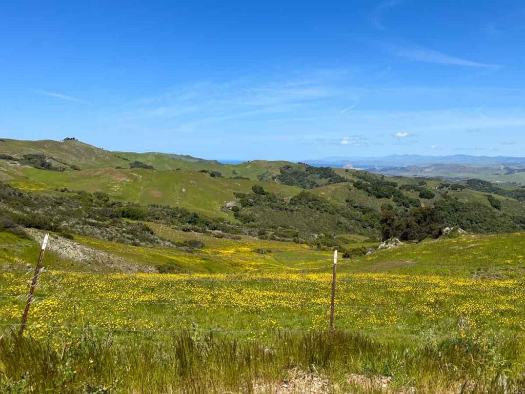 Pismo Prefumo Canyon road drive with views of hills.